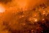 Wildfire bushfire