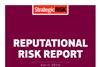 reputation risk report