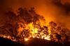 Heatwaves sparked wildfires in Russia
