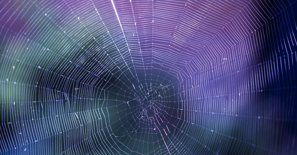 Untangle the Web of Interconnected Risk