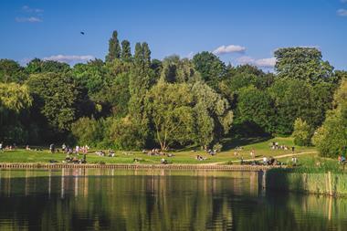 Hampstead heath medium