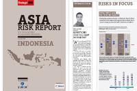 indonesia asia report