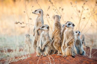 GettyImages-945607954