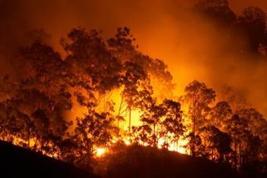 wildfire fire forest burning climate change
