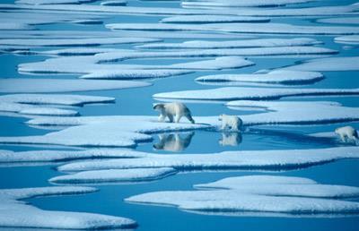 New data reveals huge Arctic ice loss