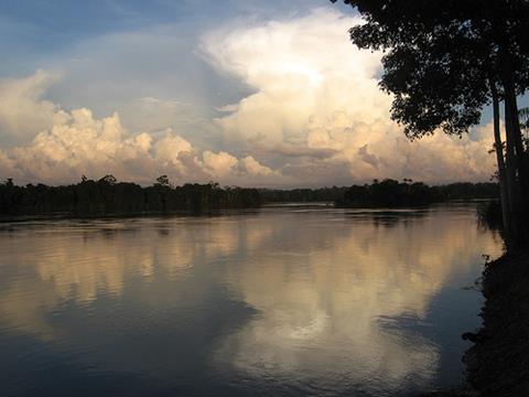 Court halts Brazilian Belo Monte dam project